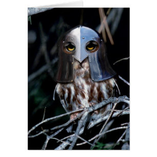 Knight Owl
