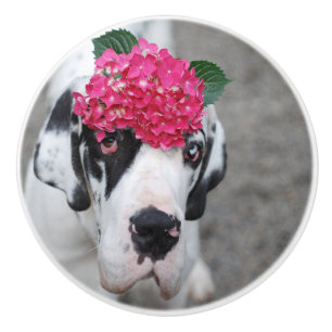 Knob with Great Dane