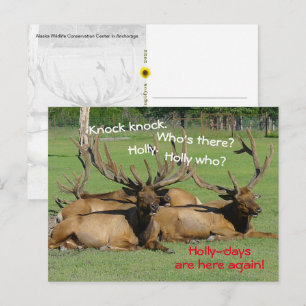 Knock Knock Holly-days, Anchorage, AK -  Postcard