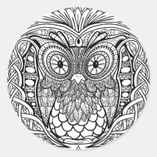 Knotted Mandala Owl Black and White Classic Round Sticker