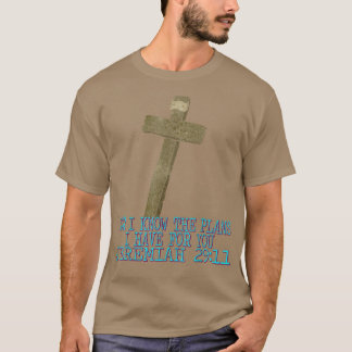 Know The Plans I Have For You, God Funny Graphic  T-Shirt