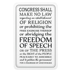 Know Your First Amendment Rights Magnet
