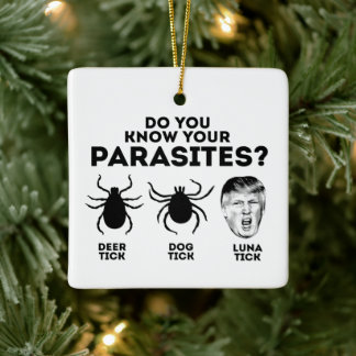KNOW YOUR PARASITES CERAMIC ORNAMENT