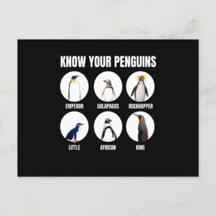 Know Your Penguins Penguin Snow Bird Postcard
