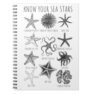 Know Your Sea Stars – Starfish Groups Notebook