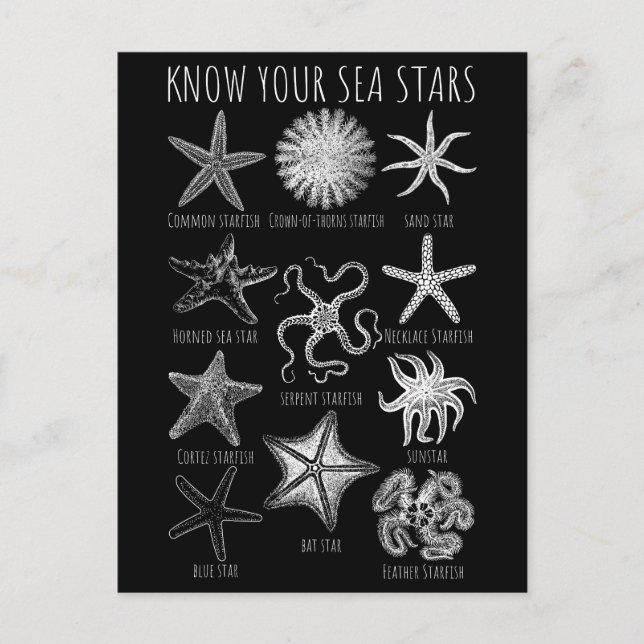 Know Your Sea Stars – Starfish Groups Postcard (Front)