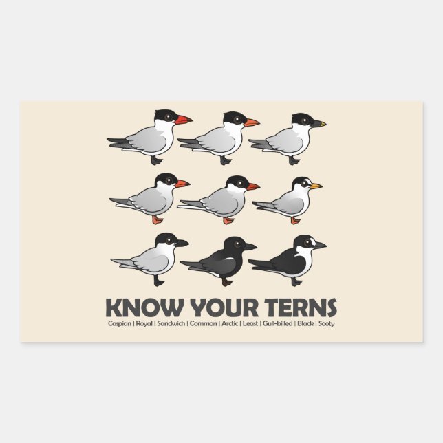 Know Your Terns Rectangular Sticker (Front)