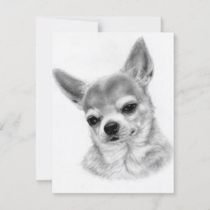 Knowing Eyes - Hand Painted Chihuahua Portrait Postcard