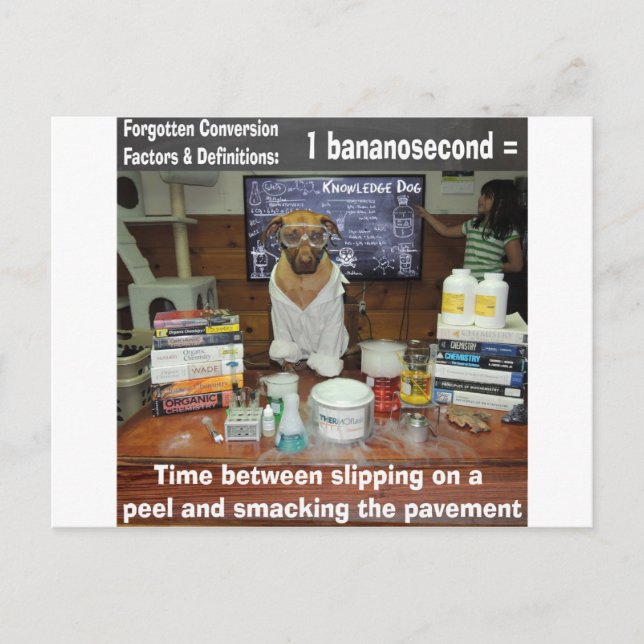 Knowledge Dog Forgotten Conversions Bananosecond Postcard (Front)
