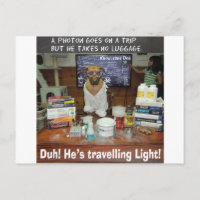 Knowledge Dog Photon Travelling Light