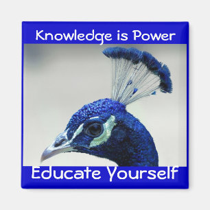 Knowledge is Power magnet