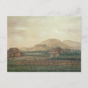 Knox Ranch, Idaho Postcard