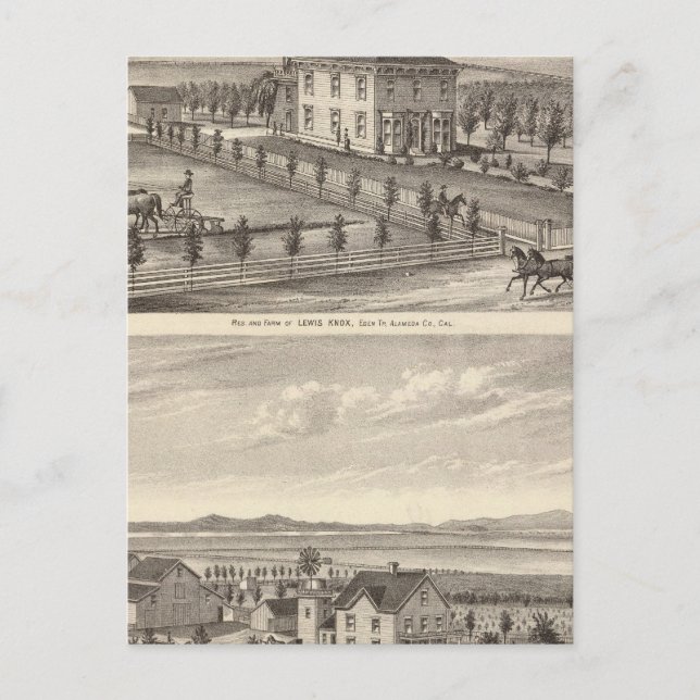 Knox, Stone residences Postcard (Front)