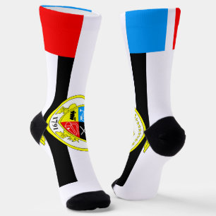Knoxville (Tennessee) city flag Socks