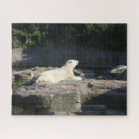 Knut the Polar Bear from the Berlin Zoo