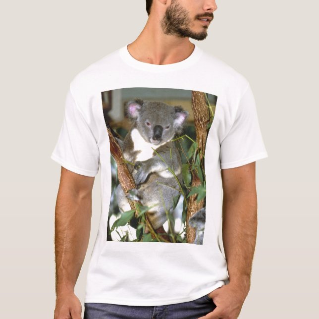 koala2 T-Shirt (Front)