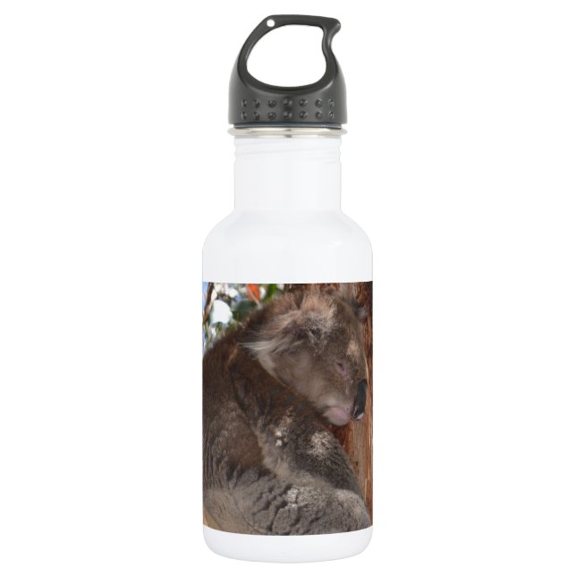 Koala 532 Ml Water Bottle (Front)