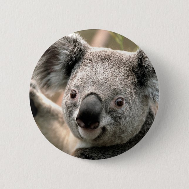 Koala 6 Cm Round Badge (Front)