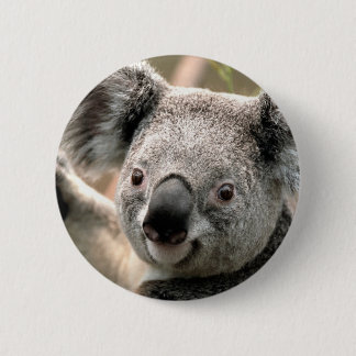 Koala 6 Cm Round Badge