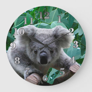 Koala and Eucalyptus Large Clock