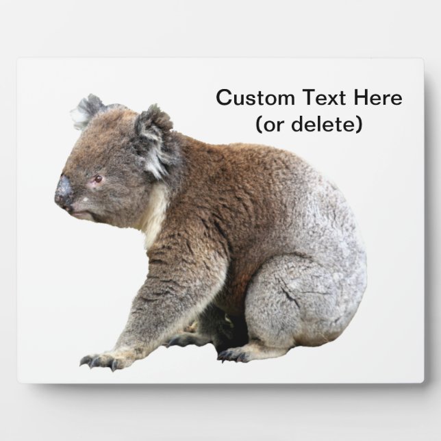 Koala Australian Customisable Plaque (Front)