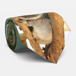 Koala bear -3, tie