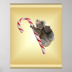 Koala Bear and Joey Cub Candy Cane Poster
