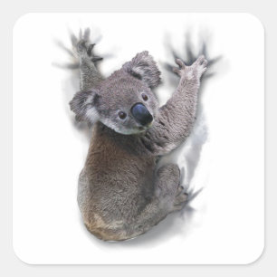 Koala Bear Animal Graphic Gifts For Koala Lovers T Square Sticker