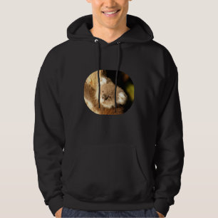 Koala Bear Australia Love Hoodie