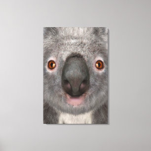 Koala Bear Canvas Print