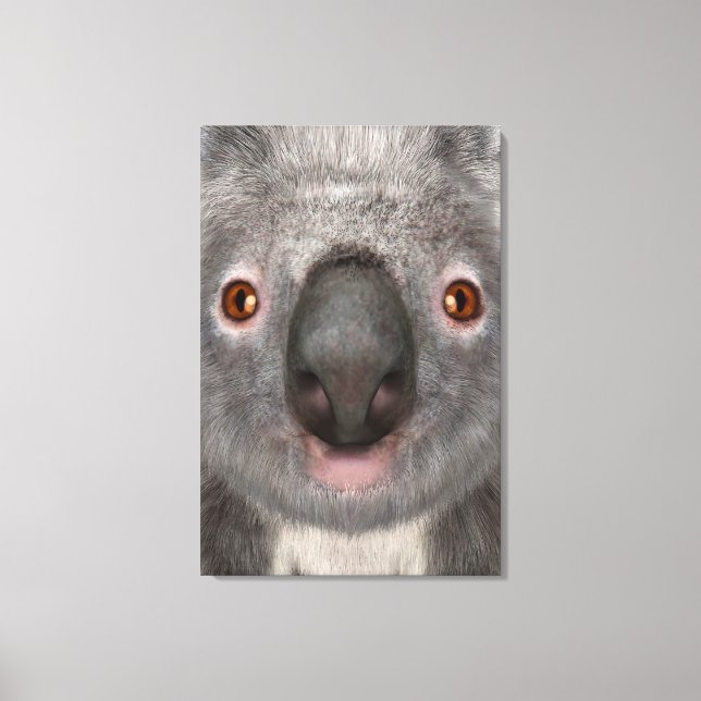 Koala Bear Canvas Print (Front)