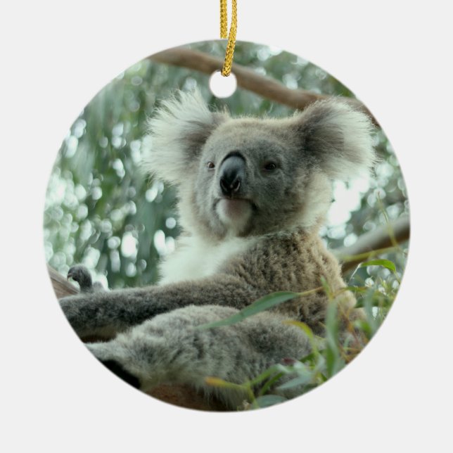 Koala Bear Ceramic Tree Decoration (Front)