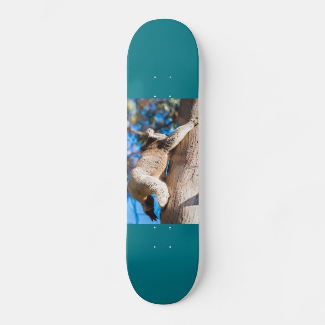 koala bear climbing tree in Australia Skateboard (Front)