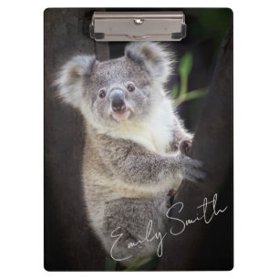 Koala Bear Clipboard