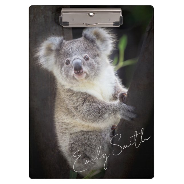 Koala Bear Clipboard (Front)