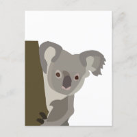 Koala Bear Cute Australian Animal