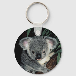Koala Bear Cute Key Ring