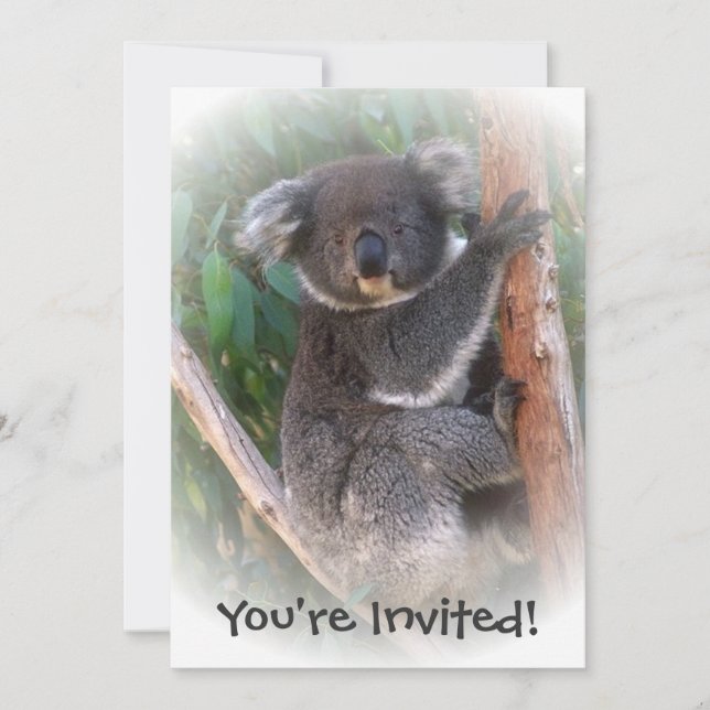 Koala Bear Design Any Occasion Invitation (Front)