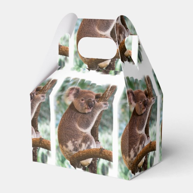 Koala Bear Favour Box (Front Side)