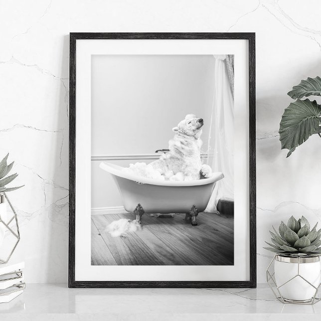 Koala Bear in a bathtub Poster (Creator Uploaded)