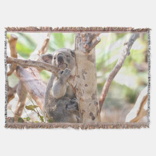 Koala Bear In A Tree Throw Blanket (Front)