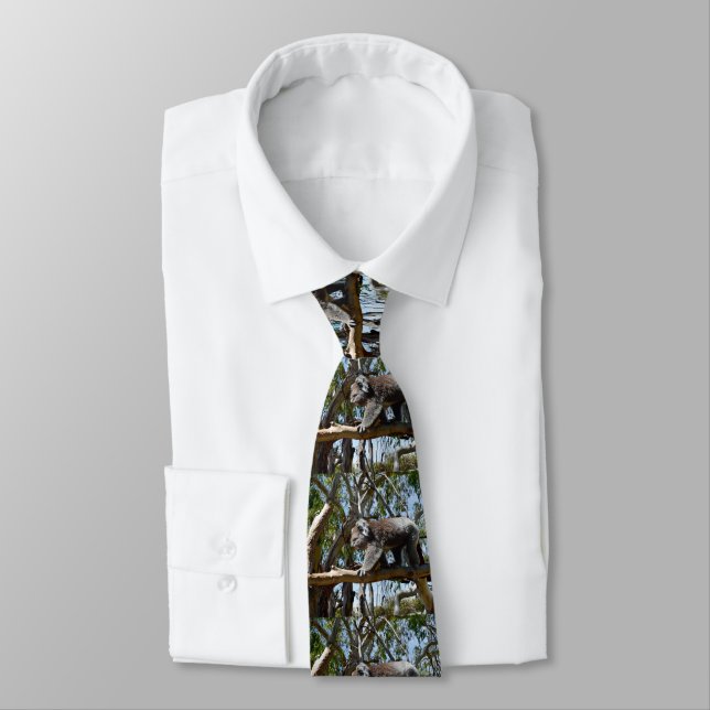 Koala Bear In Gum Trees In Australia, Tie (Tied)