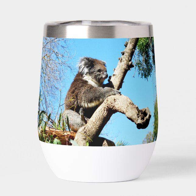 Koala Bear In Old Pine Tree,  (Back)