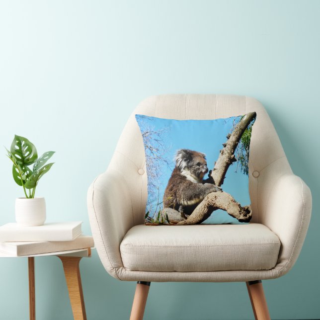 Koala Bear In Old Pine Tree,  Cushion (Chair)
