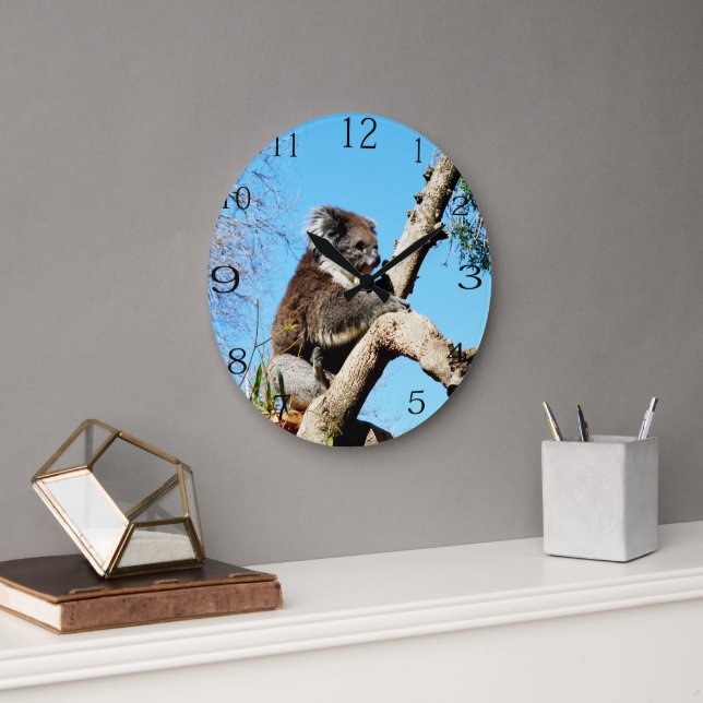 Koala Bear In Old Pine Tree,  Large Clock (Office)