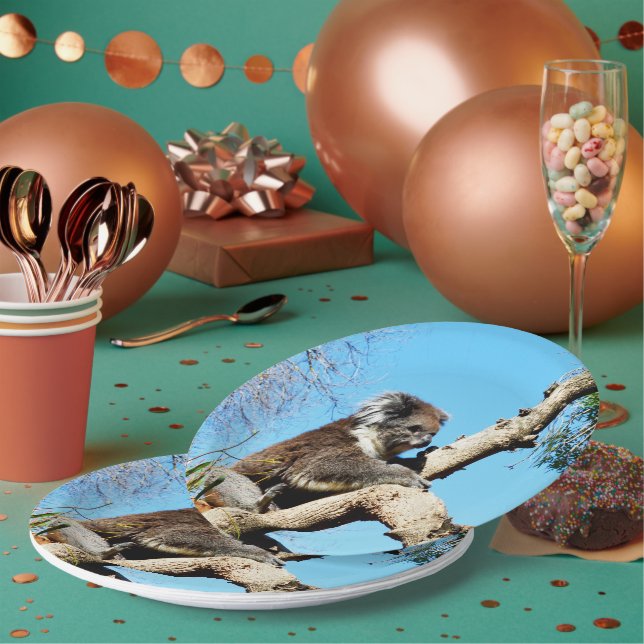 Koala Bear In Old Pine Tree,  Paper Plate (Multi)