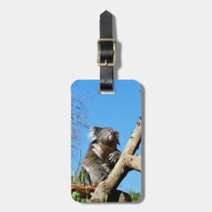 Koala Bear In Old Tree, Luggage Tag