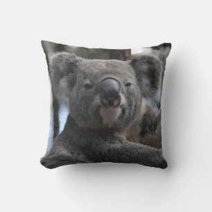 Koala Bear in Tree Cushion