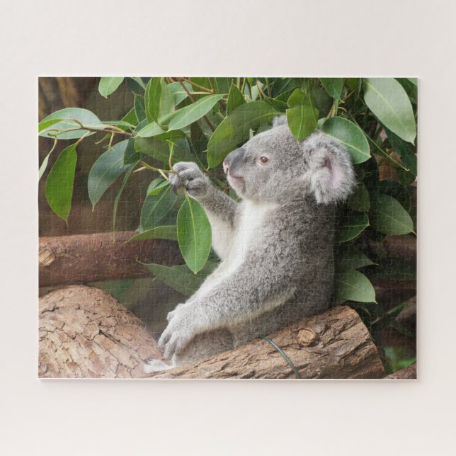 Koala Bear  Jigsaw Puzzle (Horizontal)