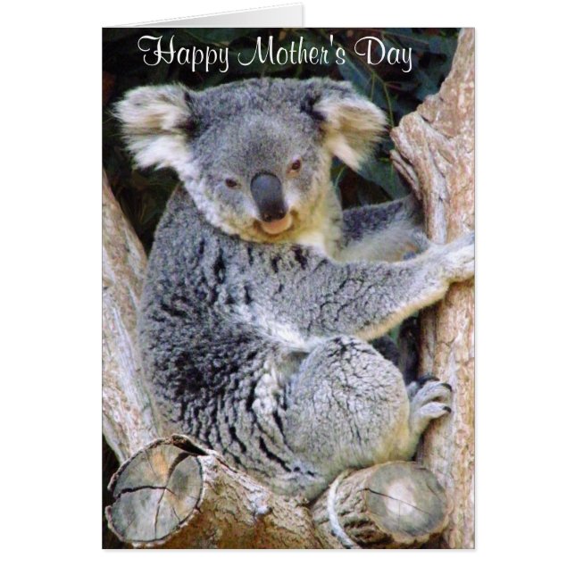 Koala Bear Love_ (Front)